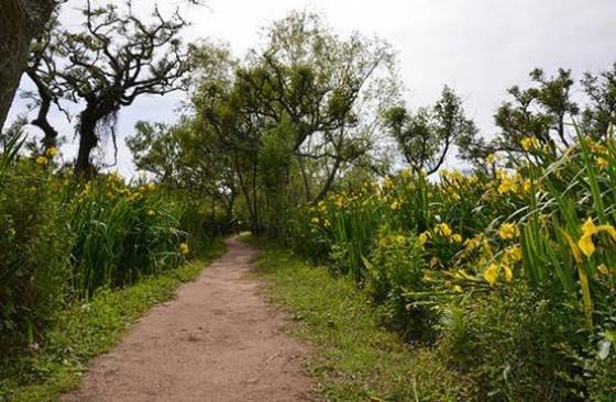 Retiro de Mindfulness y Escrito-terapia